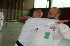 Dr. Alexander Rupp demonstriert mit  Dojoleiter Rüdiger Balz Daiwa Ryu Techniken