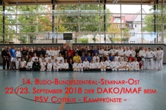 Cottbus 2018