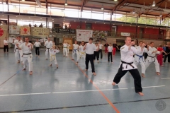 Cottbus 2018