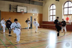 2019Iaido (30)