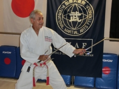Hier mit Saijutsu Kata