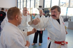 Plauen 2017