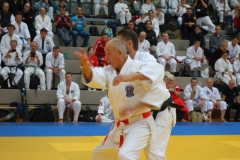 Prof.Dr. Deegen lehrte das elegante und effektive Nihon Jujutsu nach Großmeister Shizuya Sato 10.Dan Meijin.