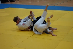 Die seltene Selbstverteidigungskunst Taekido lehrte der Vorsitzende und Cheftrainer des Gastgeber-Dojo Ajia Undokai Plauen, Michael Faulhaber
