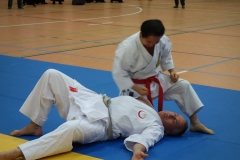 Higuchi Sensei 9.Dan Hanshi Shotokan Karate Do demonstriert Weltklasse-Kata und -Bunkai.