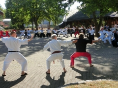 Samurai Camp 2018