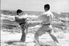 SHIHAN IKUO HIGUCHI