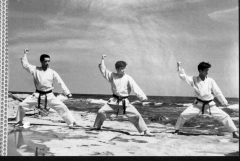 SHIHAN IKUO HIGUCHI