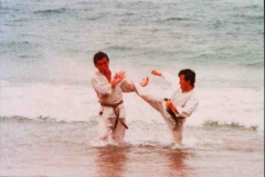 SHIHAN IKUO HIGUCHI