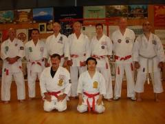 SHIHAN IKUO HIGUCHI