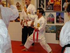 SHIHAN IKUO HIGUCHI