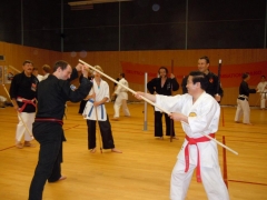 SHIHAN IKUO HIGUCHI