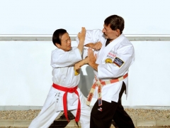 SHIHAN IKUO HIGUCHI