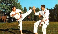 SHIHAN IKUO HIGUCHI