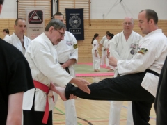 Auffangen das Mae Geri mit anschließendem Wurf