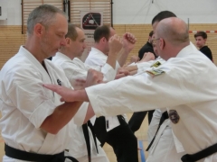 Bunkai von Tokushu Ichi no Kata
