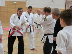 H.D.Rauscher erläutert das sparsame Tae Sabaki